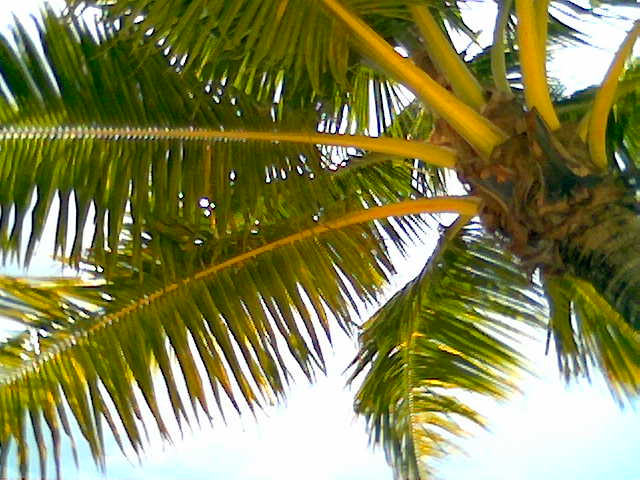 c0119242_0214473.jpg