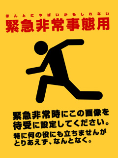 緊急非常事態です!!_c0060143_175278.jpg