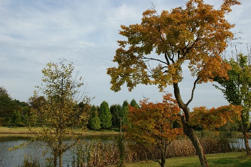 b0140347_23832.jpg