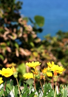 d0034447_14572358.jpg