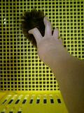 d0007957_23315958.jpg