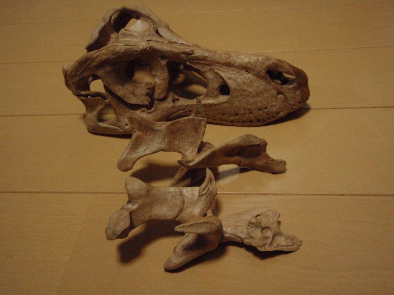 e0064457_2382715.jpg
