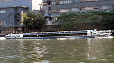 c0167961_9342495.jpg