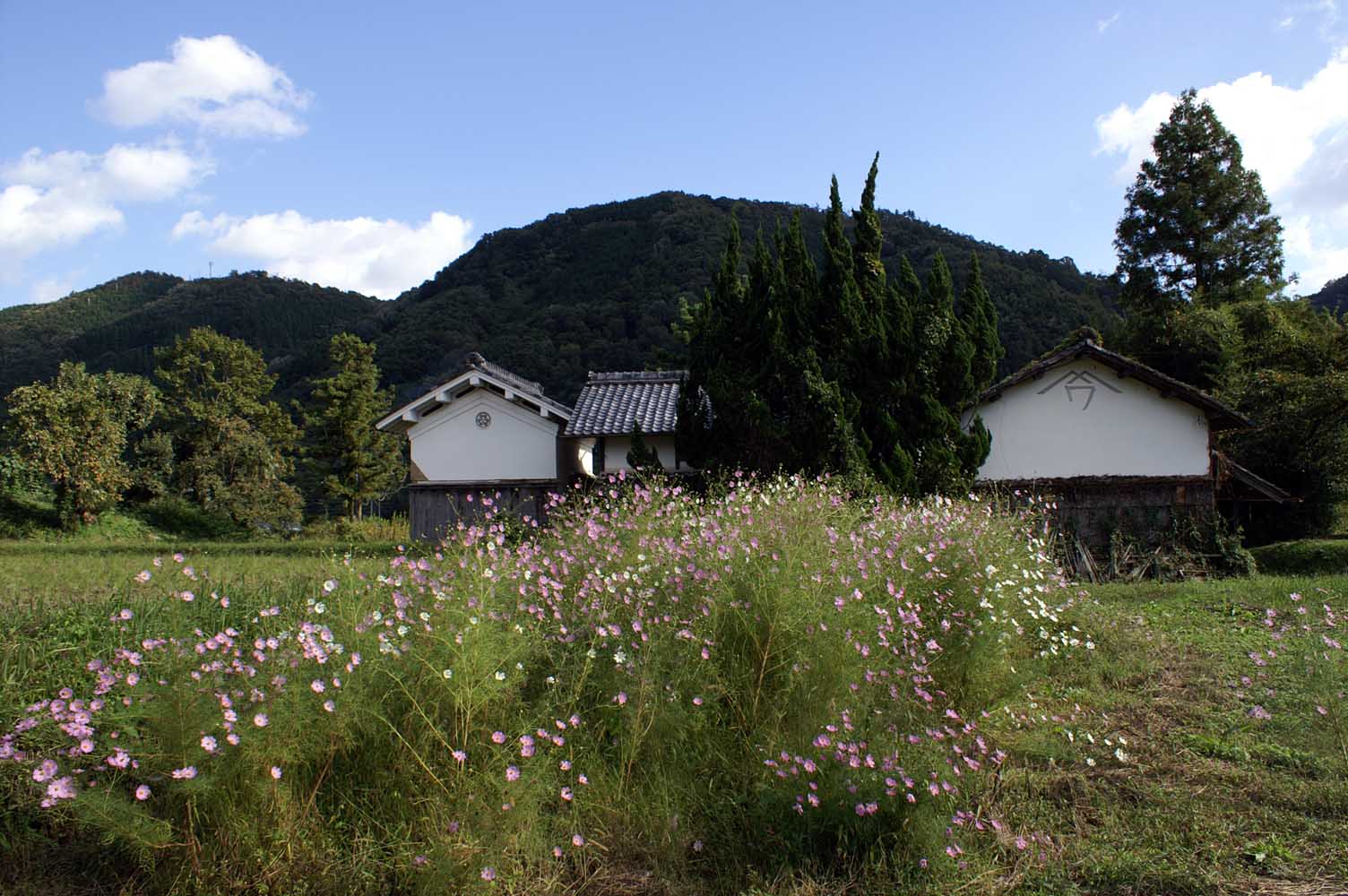 e0019563_024471.jpg