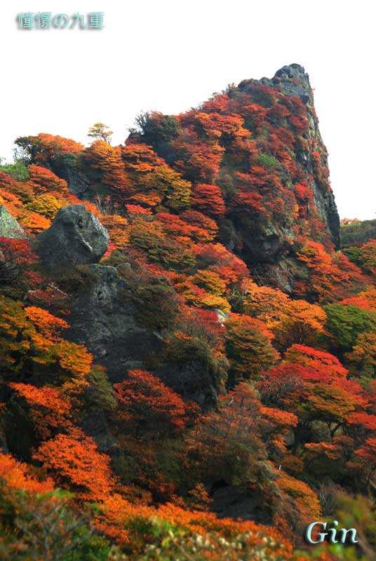 10月18日　大船山紅葉登山　PARTⅡ_f0173067_109877.jpg