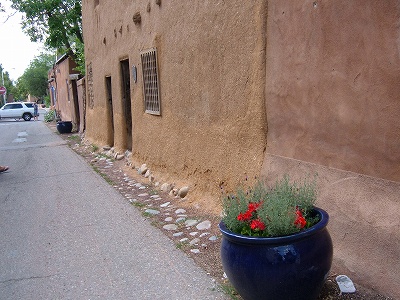 a0080368_3341646.jpg