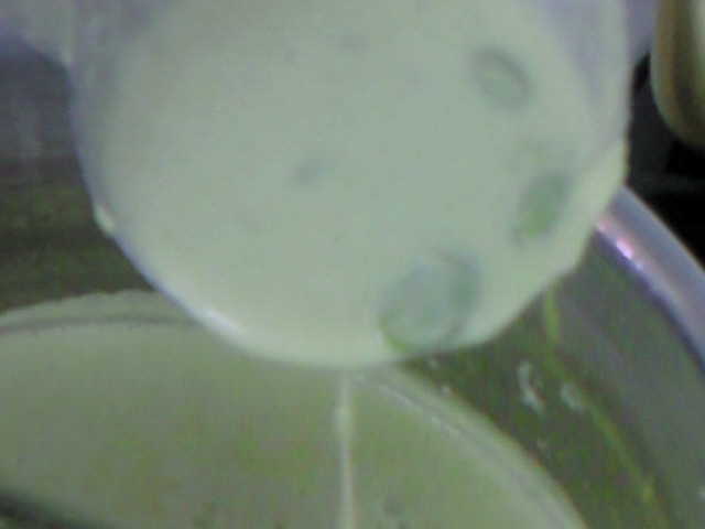 f0146768_1592138.jpg