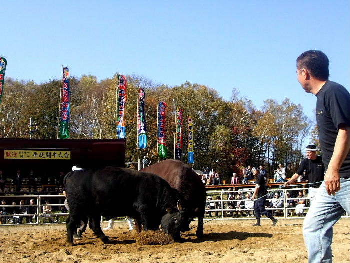 b0067569_1134714.jpg