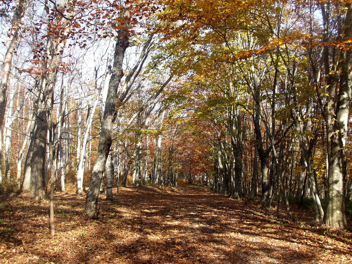b0067569_1194394.jpg