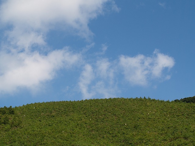 b0135573_18125423.jpg