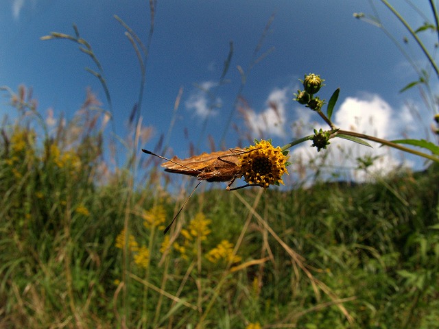 b0135573_18143224.jpg