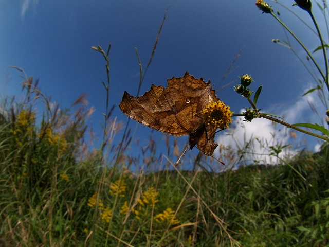 b0135573_18281663.jpg