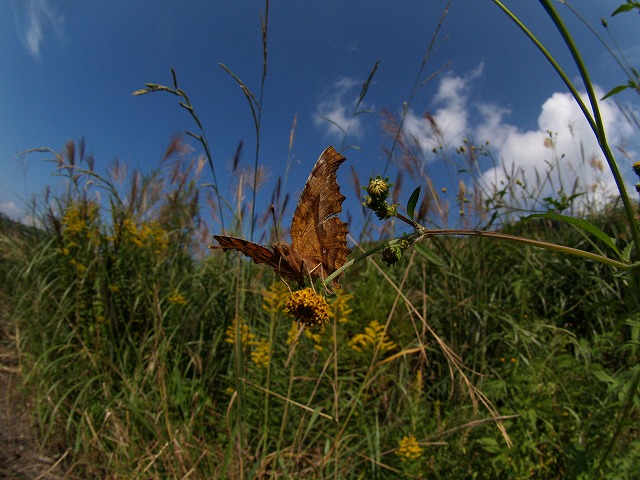 b0135573_18291834.jpg