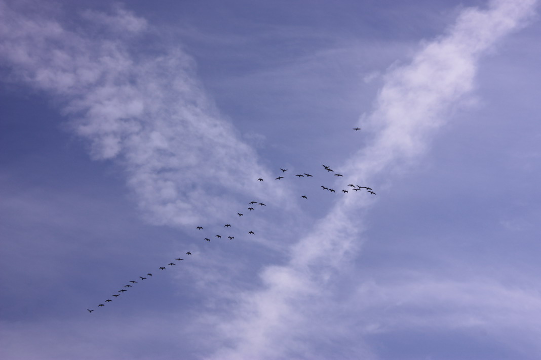 大空に、、、_b0093678_2274966.jpg