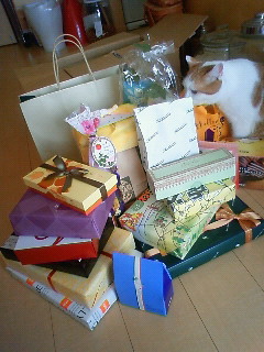 ブタマが物色中w_f0195978_1201180.jpg