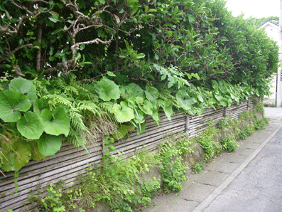 b0159780_2239850.gif