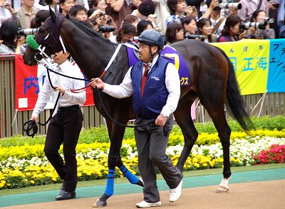 秋華賞はブラックエンブレムが快勝、３連単重賞史上最高配当１０９８万２０２０円の超大波乱_b0015386_131565.jpg