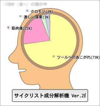 サイクリストの頭の中身は。_d0148087_18361955.jpg