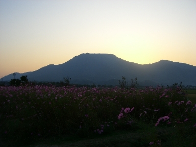 公園。_a0045293_15134639.jpg