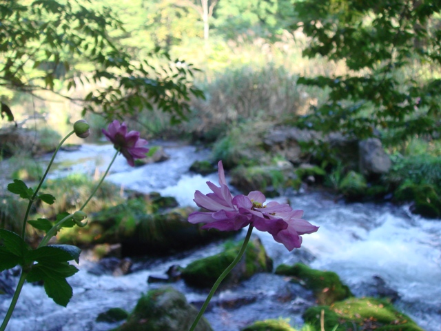 e0111793_1505240.jpg