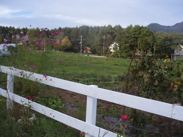 c0086895_2203441.jpg