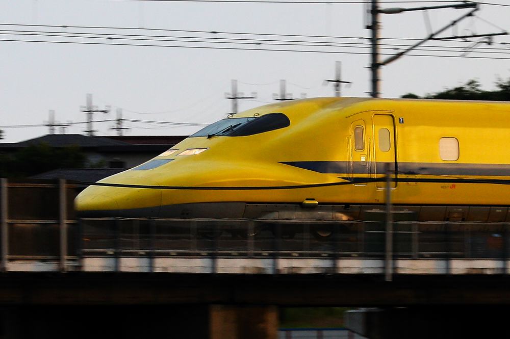 カワセミ巨大魚をGET/ドクターイエロー_b0024798_540535.jpg