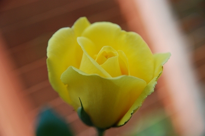 d0091700_19501131.jpg