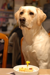 d0091700_21141846.jpg