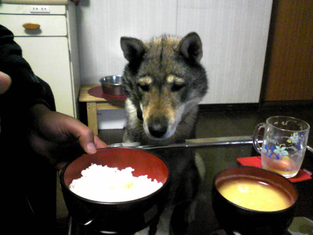 f0079202_20122246.jpg