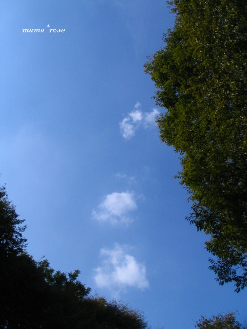 b0118511_10233981.jpg