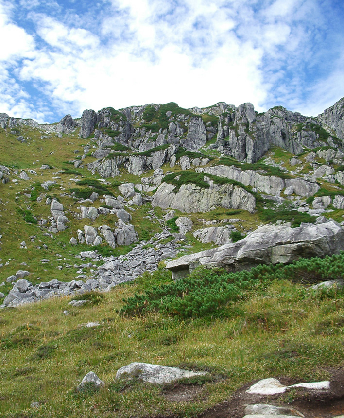 c0170212_833421.jpg