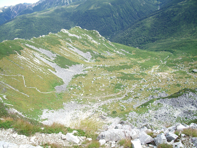 c0170212_835447.jpg