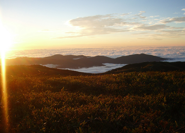c0170212_8382218.jpg