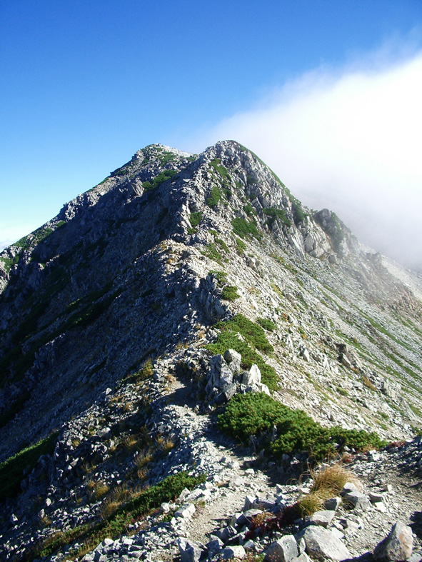 c0170212_8385115.jpg