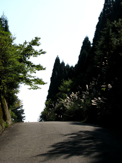 芹生の里_e0048413_22131079.jpg