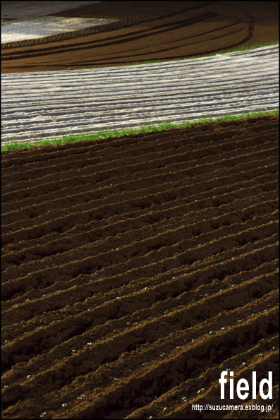 field_f0100215_23311494.jpg