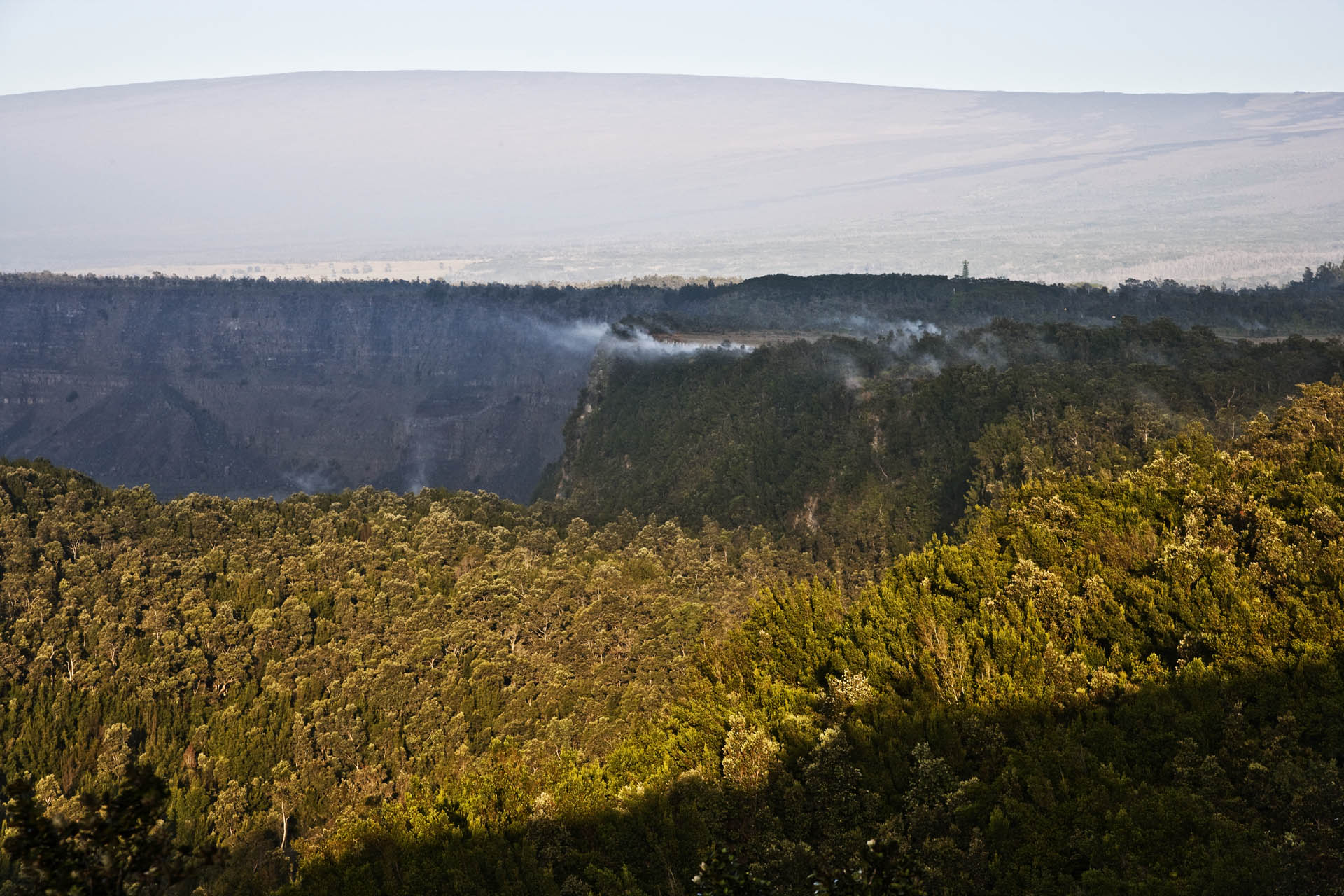 d0073620_22113099.jpg