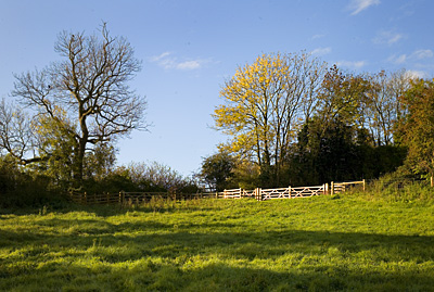 f0045624_16314.jpg
