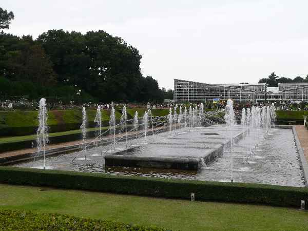 c0133533_0504256.jpg