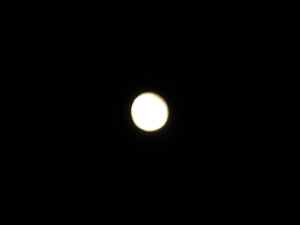 c0133533_11215.jpg