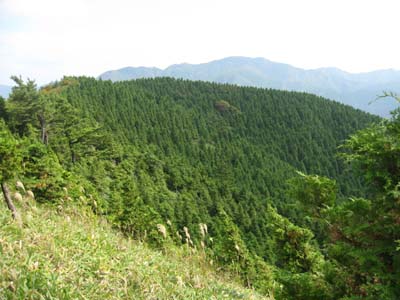 e0110940_22295812.jpg