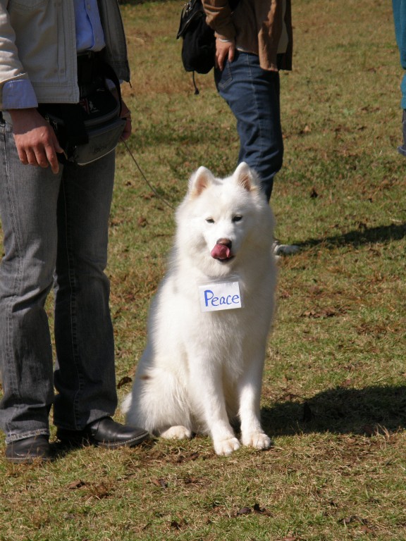 f0128542_31315.jpg