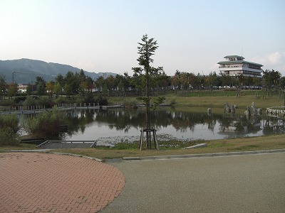 八色の森公園の紅葉_a0084753_1615499.jpg