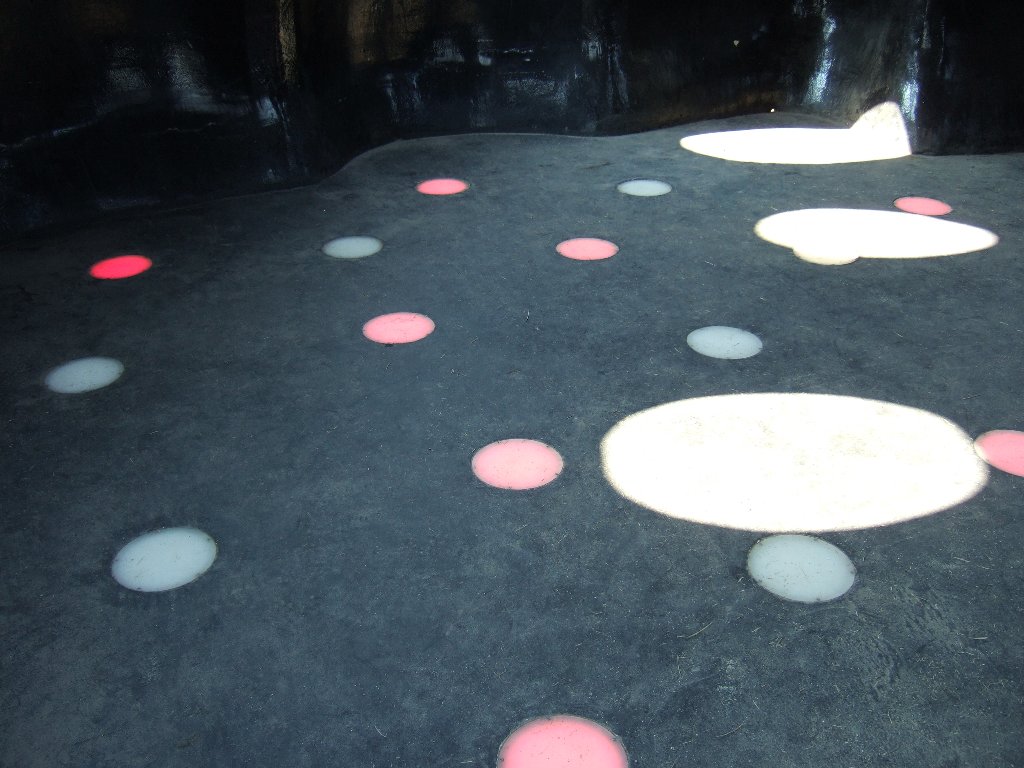 c0178561_22262977.jpg