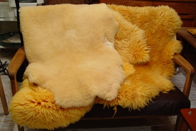 a0096367_2328472.jpg