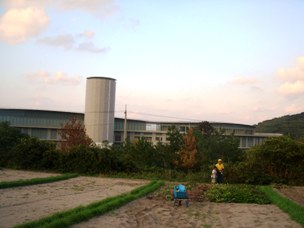 イモ掘りだー(^u^)_f0009169_838479.jpg