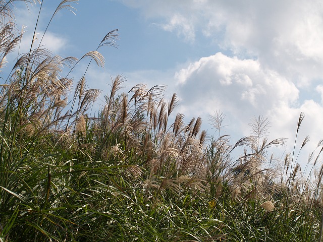 b0135573_19282779.jpg