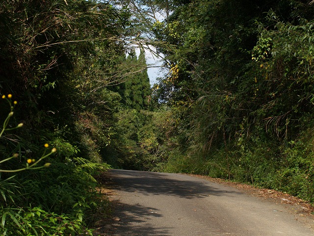 b0135573_1931683.jpg