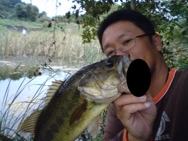 コレ凄いのかも!_a0040876_22405616.jpg