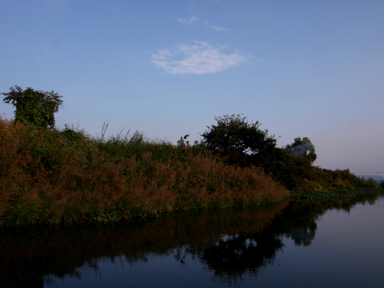 徳島・旧吉野川 2008 秋_d0118876_1581614.jpg